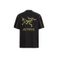 Black Gold/Black Gold