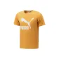 Earth Yellow