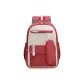 Red Bag with Small Bag