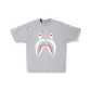 Light Gray White