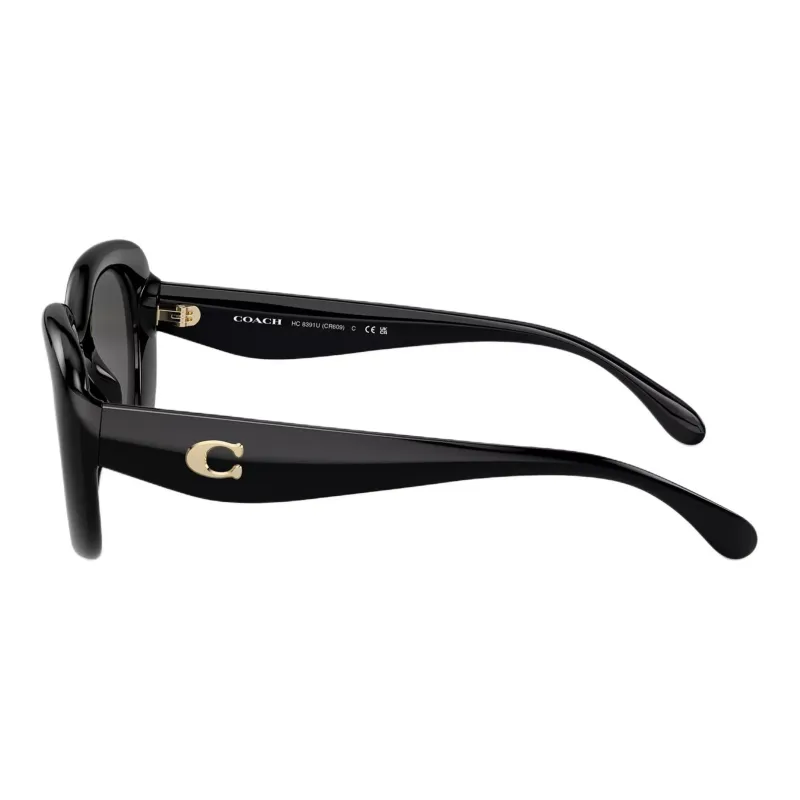 COACH Oversize frame Sunglasses-2