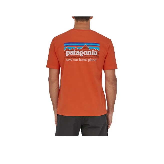 Patagonia Organic T-Shirts Men Green/PIGN XS - POIZON