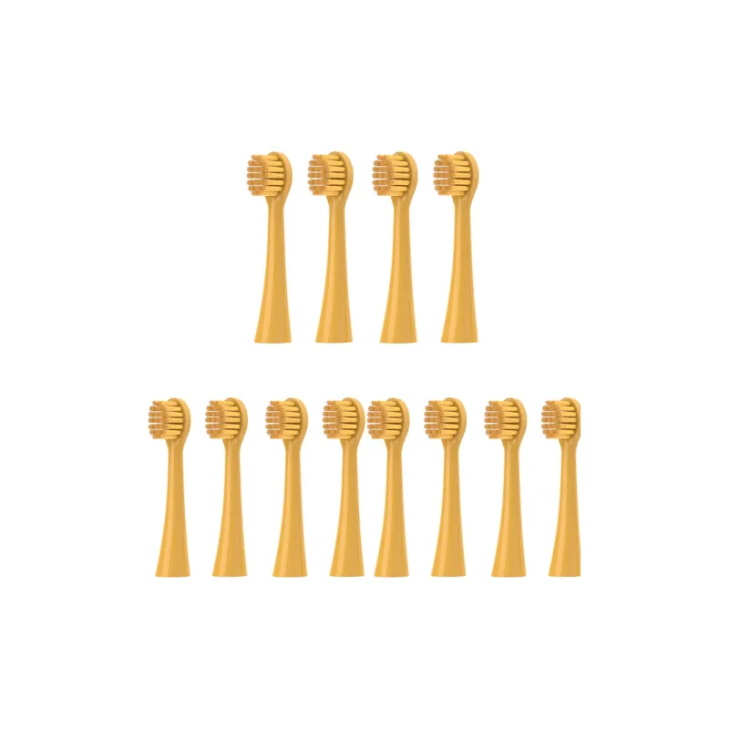 Fly Toothbrush Heads-7