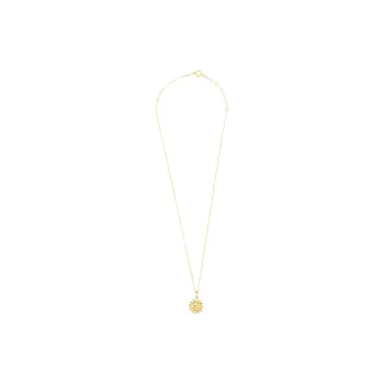 Radiant Stainless Steel, Gold Plated, Silver Necklaces Women's Gold