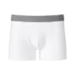 479036/00 White
