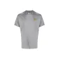Pigeon Grey