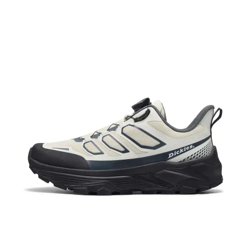 Dickies Low Top Casual Shoes Men's