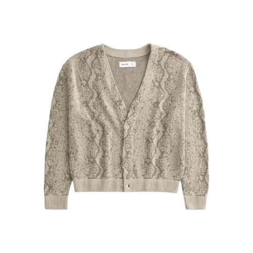 Hollister Knitwear Men's Light Brown