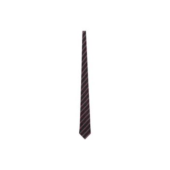 SAINT LAURENT Silk Ties Unisex Blue