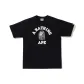 Light Gray Black