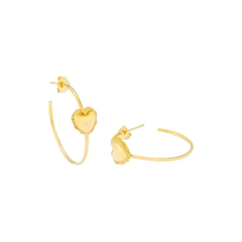 Radiant Stainless Steel Earrings Women's Gold-0