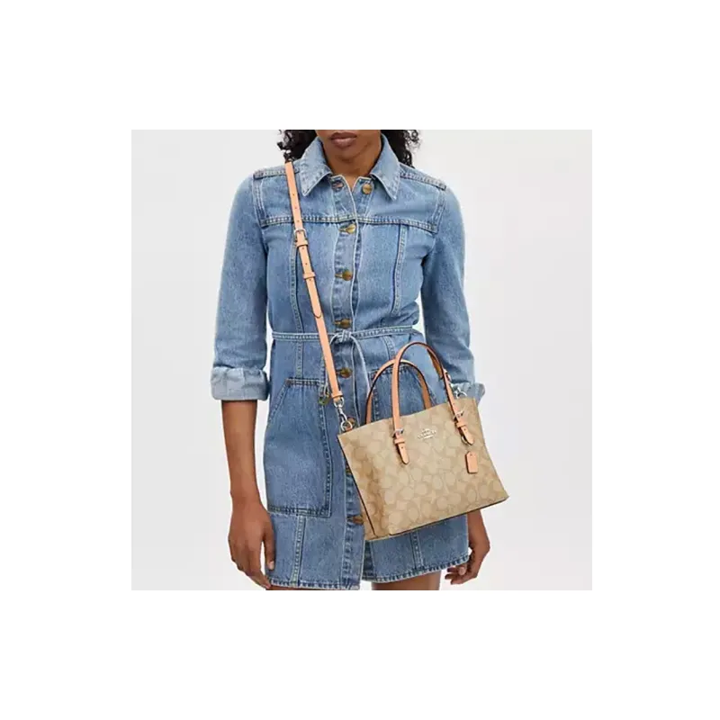 COACH Mollie Handbags-2