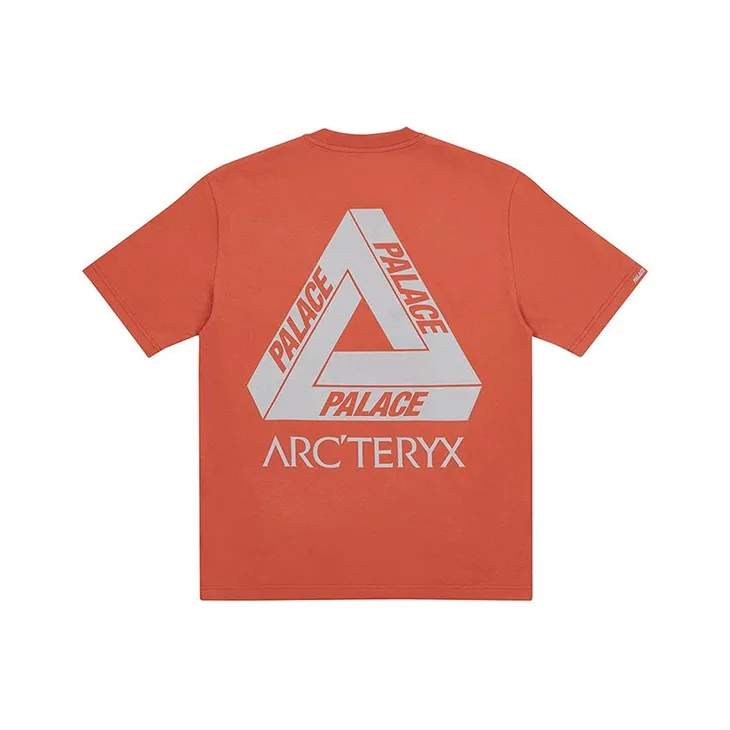 Palace X Arc'teryx T Shirt-2