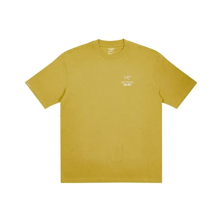 Palace X Arc'teryx T Shirt-4