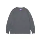 Dark Light Gray