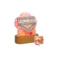 21 Sounds-Cherry Blossom Star Moon (Includes Lamp Bases, Packaging)