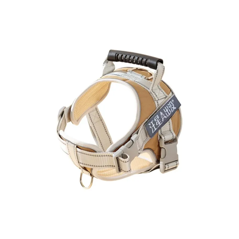 Hippie dogs Leashes-2