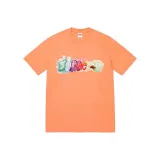 Peach Pink