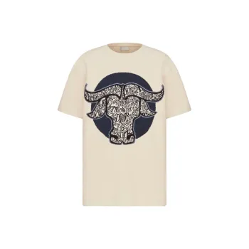DIOR And Shawn Oversized T Shirt SS21