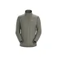 Dusty Green/Forage