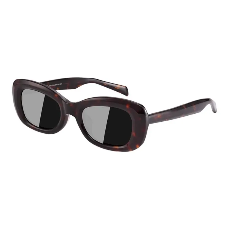 PULAIS Plate Frame Irregular Shape Sunglasses Women's Multicolor-6