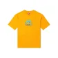 Ginger Yellow-2312