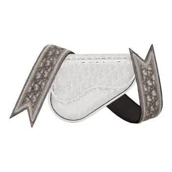 DIOR Cow Leather Saddle Bag Sling Bag Crossbody Bag Mini Men's Silver