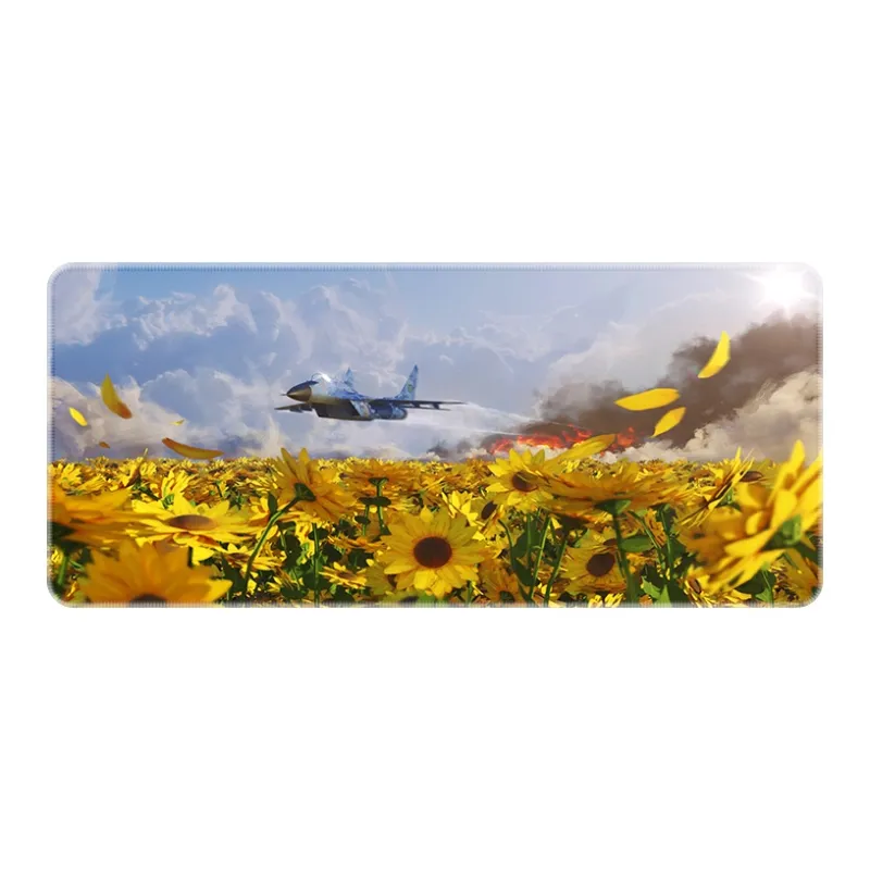 Directions Mouse Pads-7