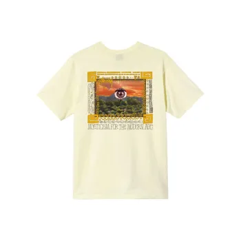 Stussy Mojave T shirt