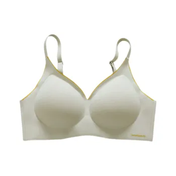 Vine Color Women's Bras