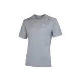 Gray/Pegasus