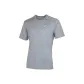 Gray/Pegasus