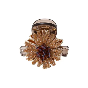 CHIMERA Resin Hair Clips Women's