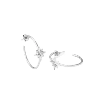 Radiant   Earrings Unisex Silver