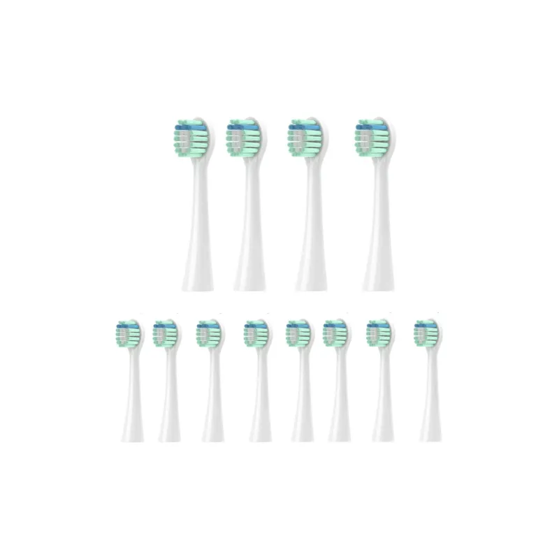 Fly Toothbrush Heads-4