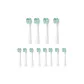 Netherlands A7 White 12 Pcs Set