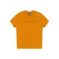 Earth Yellow