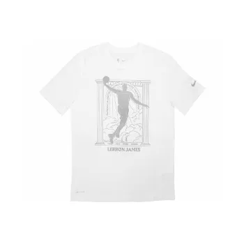 Nike Dri Fit T Shirts Men White