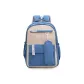 Blue Strap Small Bag