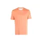 Pink Salmon Color