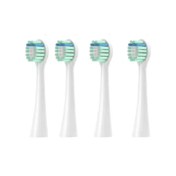 Fly Toothbrush Heads