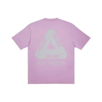 Arcteryx Arc'teryx T shirt