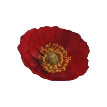 TBoML Fabric Hair Clips Women's