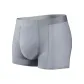 Silver Gray