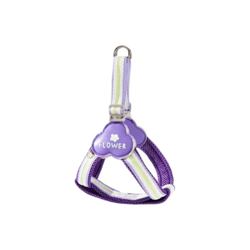 Hippie dogs Leashes