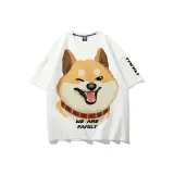 White (Shiba Inu)