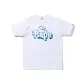 White with Blue Print