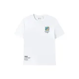 Standard White