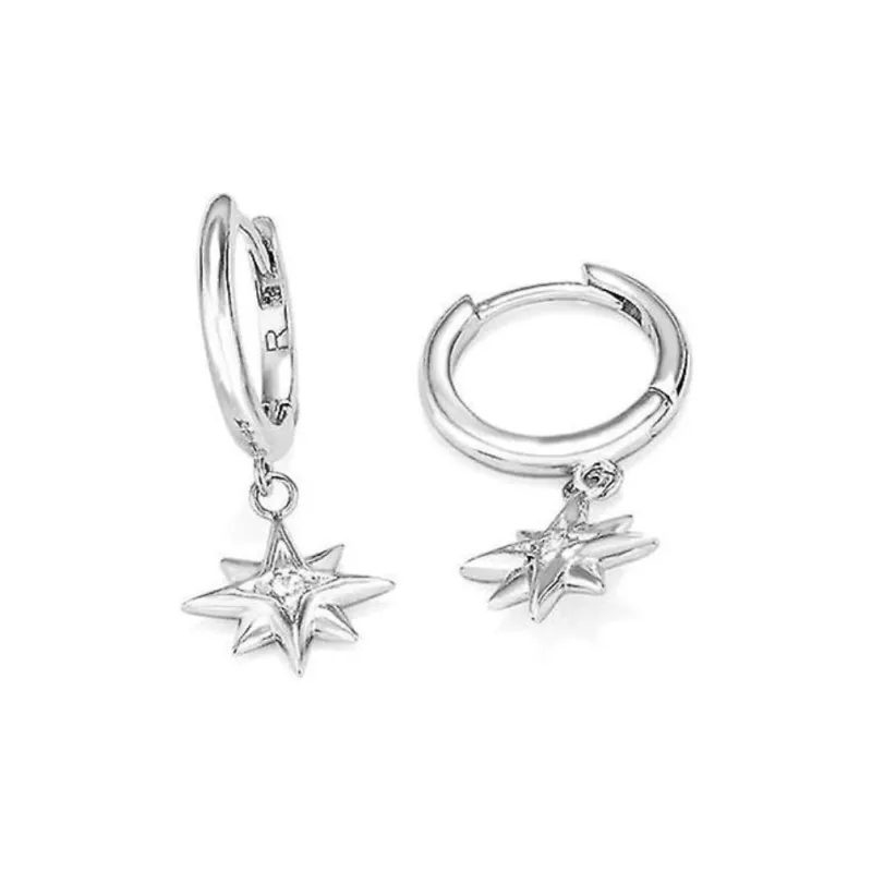 Radiant Stainless Steel Earrings Women's Silver-1