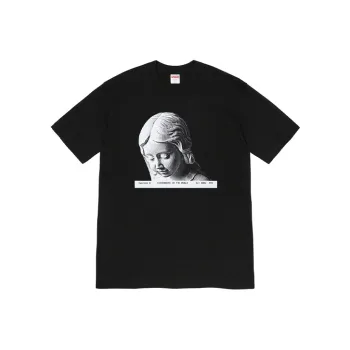 Supreme Everywhere Tee
